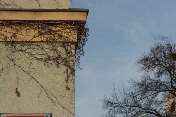 Paredes Exteriores Edificios Antiguos Praga Cerca Estación Tranvía Hradcanska Principios — Foto de Stock