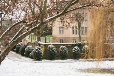Prag, Çek Cumhuriyeti. 01-08-2021. Kar yağarken, Prag 6 'daki Hradcanska metro istasyonuna yakın Park Letna' da ağaç, çalı ve patika.