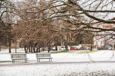 Prag, Çek Cumhuriyeti. 01-08-2021. Kar yağarken Park Letna 'da ağaç, çalı ve bank Prag 6' daki Hradcanska metro istasyonuna yakın.