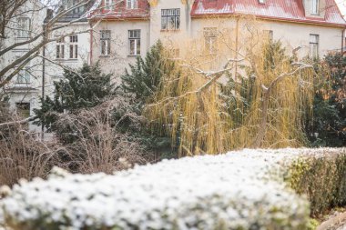 Prag, Çek Cumhuriyeti. 01-08-2021. Kar yağarken, Prag 6 'daki Hradcanska metro istasyonuna yakın Park Letna' da ağaç, çalı ve patika.