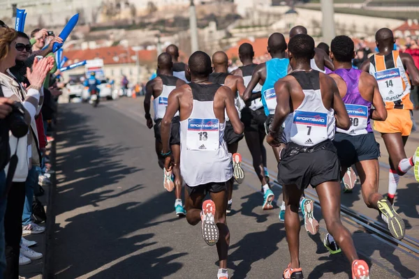 Prague Czech Republic 2016 Elite Team African Runners Gather Volkswagen — Stock Photo, Image