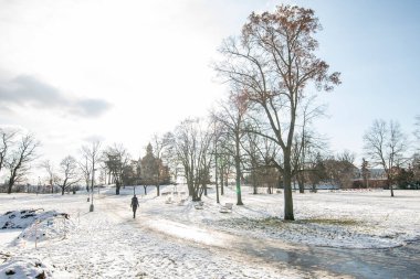 Prag, Çek Cumhuriyeti. 01-31-2021. Prag şehrindeki Park Letna 'da kar ve ağaçların güzel manzarası, soğuk kış boyunca..