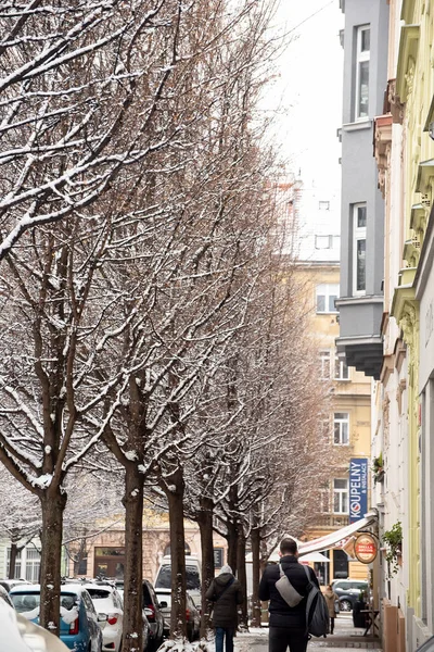 Прага Чеська Республіка 2021 Люди Які Йшли Тротуарі Автомобілями Деревами — стокове фото