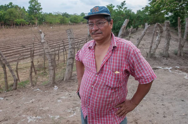 Сучитото Сальвадор 2016 Портрет Фермера Толкающего Недавно Посаженное Поле Жители — стоковое фото