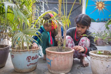 Rajasthan. Hindistan. 07-02-2018. İki çocuk okulda yetişen bitkilerle oynuyorlar..