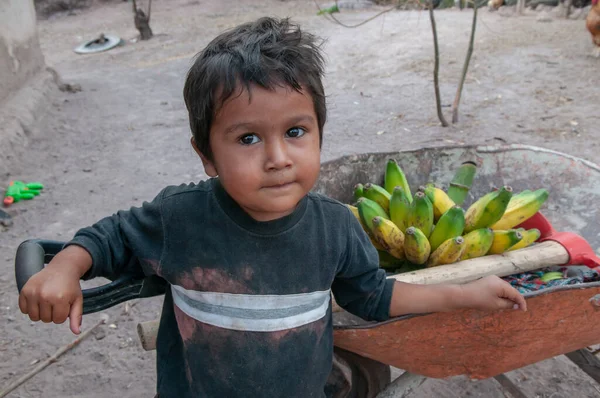 Rivas, Nikaragua. 07-15-2016. Nikaragua 'nın kırsal bir bölgesi olan Rivas' ta bir el arabası dolusu muz taşıyan bir çocuğun portresi..