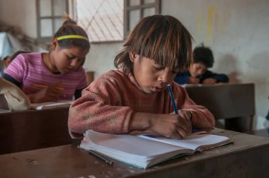 Chaco Eyaleti. Arjantin. 15-01-2019. Arjantin 'in kuzeyinde Chaco Eyaleti' nde okuyan defterine yazı yazan yerli bir çocuğun portresi..