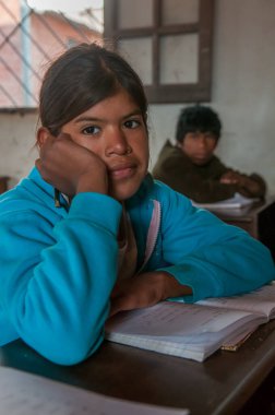 Chaco Eyaleti. Arjantin. 15-01-2019. Kuzey Arjantin 'deki Chaco Eyaleti' nde okula giden yerli bir kızın portresi..