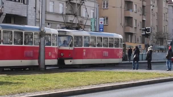 Praga Republika Czeska 2021 Tramwaje Przewożące Pasażerów Przystanku Tramwajowym Kolejowym — Wideo stockowe