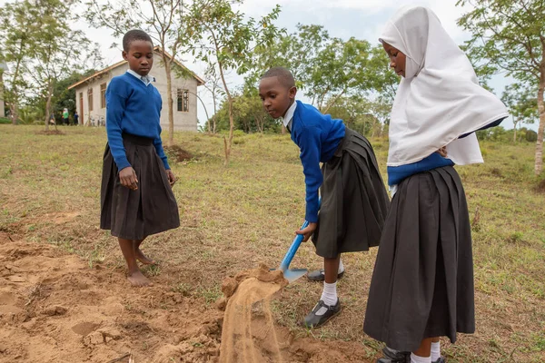 Dodoma Tanzania 2019 Grupa Dziewcząt Pracuje Łopatą Wiejskiej Szkole Tanzanii Obraz Stockowy