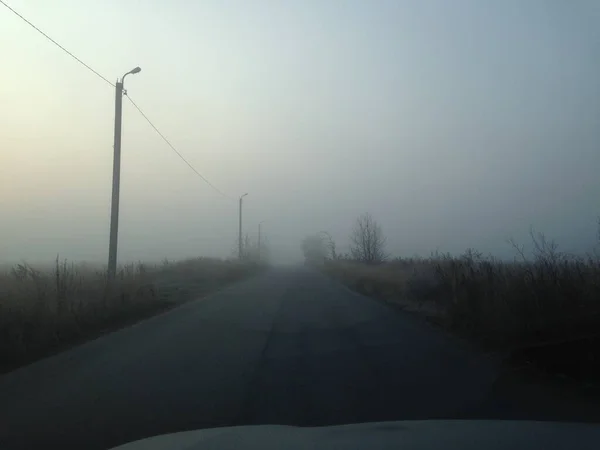 Straße Auto Nebel Laternenpfähle Drähte Sträucher Kälte Morgen Herbst — Stockfoto