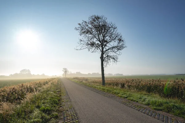 Misty Morning Coast Den Osse Zealand Netherlands — Stock Photo, Image