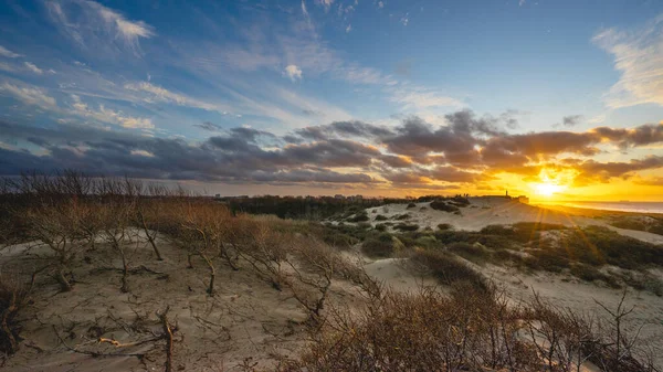 日落在荷兰Kijkduin的沙丘上 — 图库照片