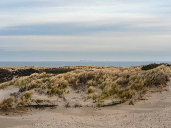 清晨和多云的早晨 在荷兰的Kijkduin沙丘 — 图库照片