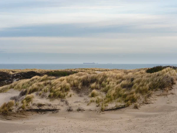 Manhã Cedo Nublada Nas Dunas Kijkduin Países Baixos — Fotografia de Stock