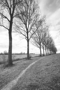 Wildpark Ooltgensplaat, güzel doğal olarak vahşi kuşlar, inekler ve atlarla yer değiştirdi.