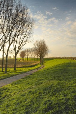 Wildpark Ooltgensplaat, güzel doğal olarak vahşi kuşlar, inekler ve atlarla yer değiştirdi.