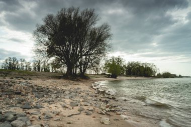Beuningse Uiterwaarde, Beuningen Hollanda 'nın güzel kıyı şeridi.