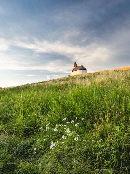 White Little Church Top Hill Terp Leidsenveen Hague Netherlands — Stock Photo, Image