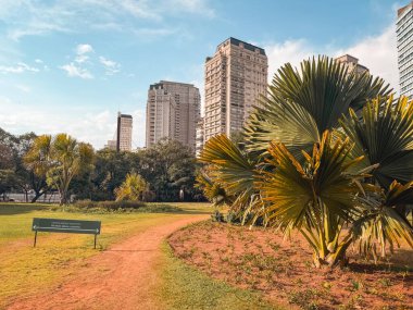 Arka planda ufuk çizgisi olan Pargue do Novo In Pinheiros. Sao Paulo, Brezilya. 22 Kasım 2025.