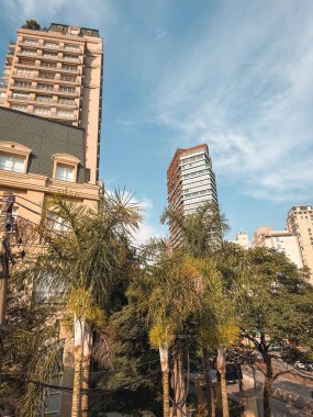 Arka planda ufuk çizgisi olan Pargue do Novo In Pinheiros. Sao Paulo, Brezilya. 22 Kasım 2025.