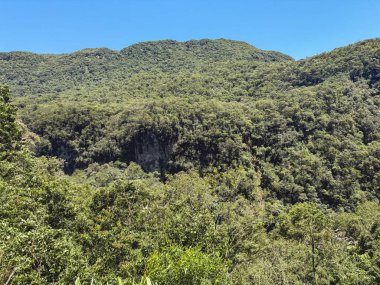 Curitiba 'dan Morretes' e güzel bir tren yolculuğu. Dağların arasından.