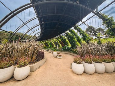 Curitiba PR Brezilya. 12 Aralık 2025. Curitiba Botanik Bahçesi.