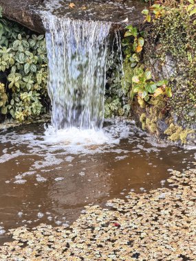 Park Barigui 'de şelale. Curitiba PR Brezilya 'da büyük park.