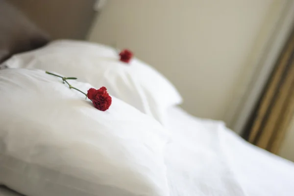 Цветы, постельное белье, полотенца, розовый, романтика, подушка, отель, медовый месяц — стоковое фото