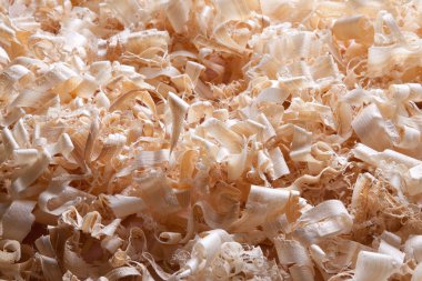 talaş, mobilya, ahşap, işçilik, Dekorasyon, curl, kesme, şekil