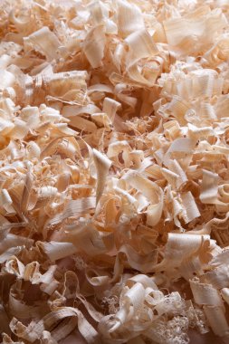 talaş, mobilya, ahşap, işçilik, Dekorasyon, curl, kesme, şekil