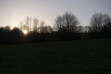 doğa, Sonbahar, ağaçlar