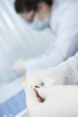 Laboratuvar çalışma ortamı