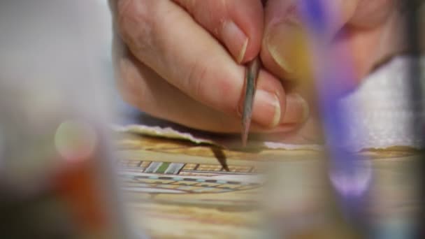 Ottomaanse miniatuur kunstwerken en artiesten — Stockvideo