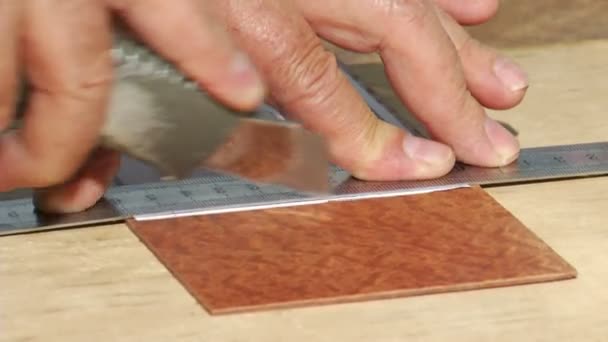 Ottoman art nacre coating — Stock Video