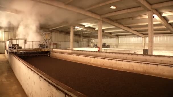 有机鸡厂和化肥生产 — 图库视频影像