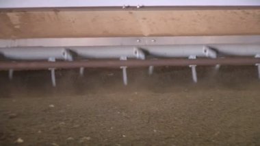 Organik tavuk fabrika ve gübre üretimi