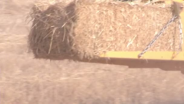 Funcionamento de tractores e máquinas de colheita que operem no terreno — Vídeo de Stock