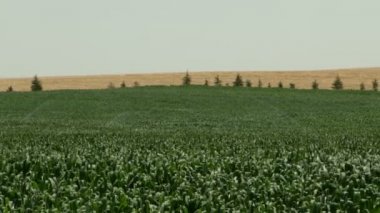 çiftlik sulama ve tarım iş makinesi görüntüleri püskürtme