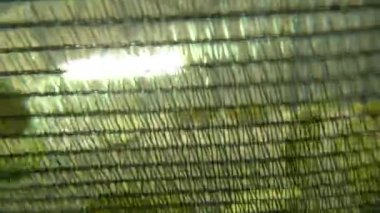 taze elma soyma doğrama ve adımları kurutma