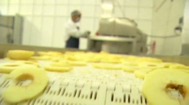 taze elma soyma doğrama ve adımları kurutma