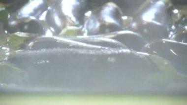 meyve ve sebze gıda üretim tesisimiz