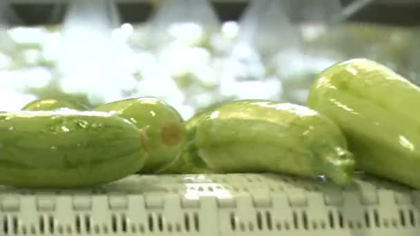 Meyve ve sebze gıda üretim tesisimiz — Stok video