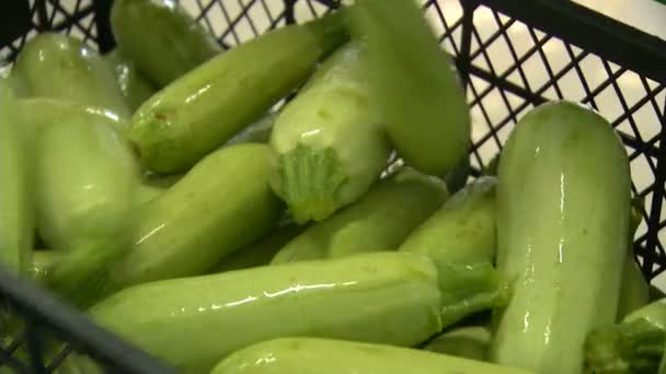 Frukt- och grönsakssektorn mat produktion fabriken — Stockvideo