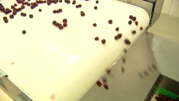 食品工业和樱桃提取生产线系列洗涤阶段 — 图库视频影像