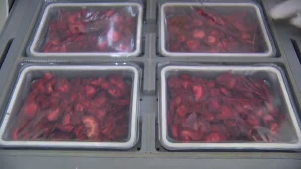 Gemüse Obst Verpackungsmaschine — Stockvideo