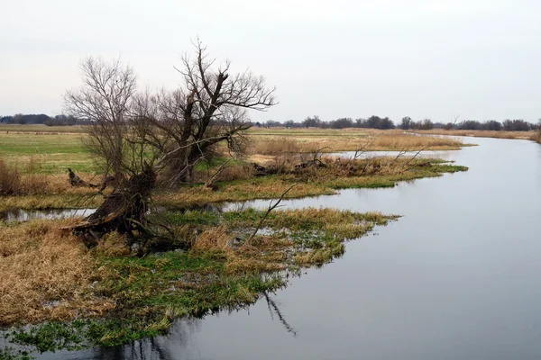 Automne hiver à Havel River — Photo