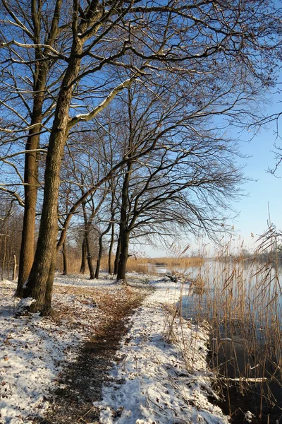 Winterlandschaft an der Havel. — Stockfoto