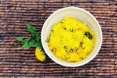 çiçek sarı dandellion ile Kupası