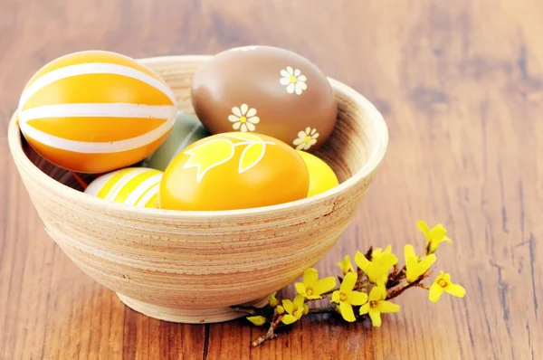 Group of easter eggs in a cup with Forsythia twig — Stock Photo, Image
